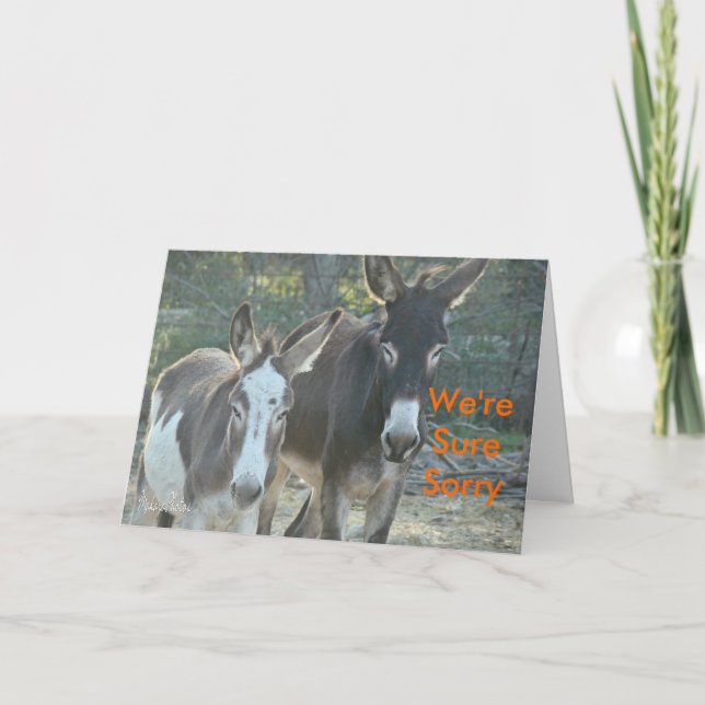 Carte Désolé Mules-personnaliser (Devant)