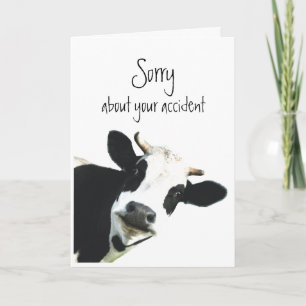 Carte Désolé pour Accident Flowers Fun Cow Holstein