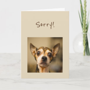Carte Désolé pour le jour Fun Chihuahua