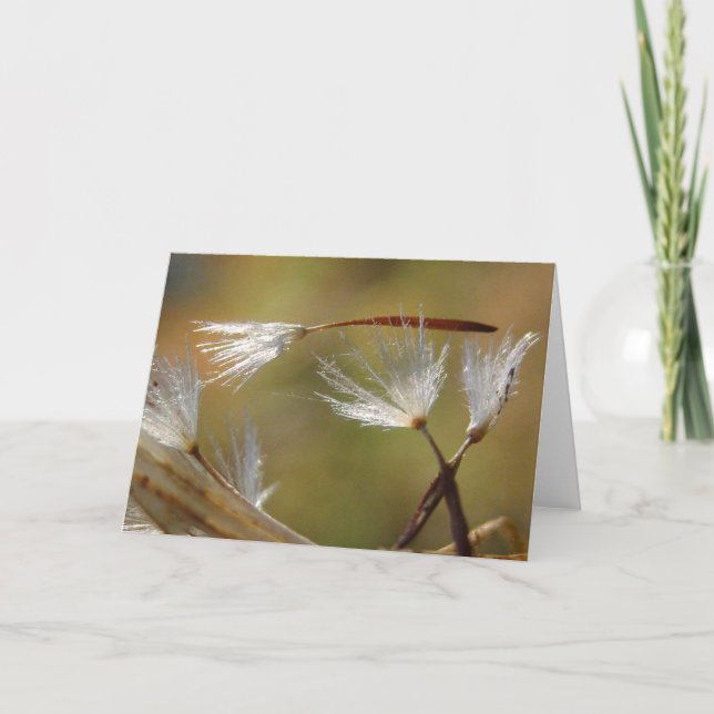 Carte Désolé pour votre perte Pissenlit avec poème (Devant)