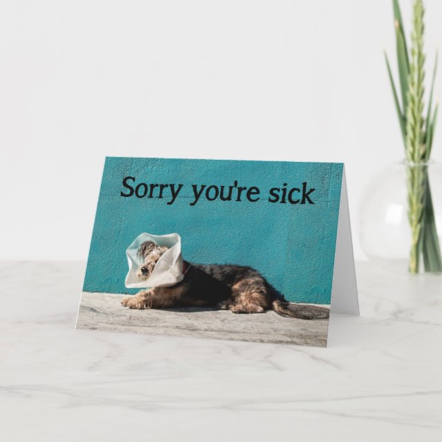 Carte Désolé que tu sois malade Cheer Up Fun Dog Get Wel (Devant)