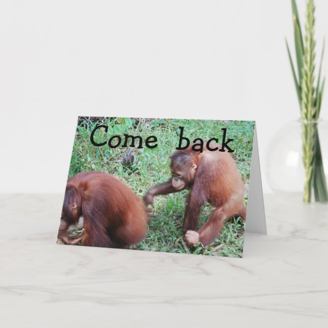 Carte Désolé : Retrouvons-nous ensemble. (Devant)