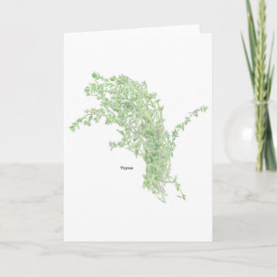 Carte Dessin de thym