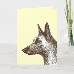 Carte dessin malinois