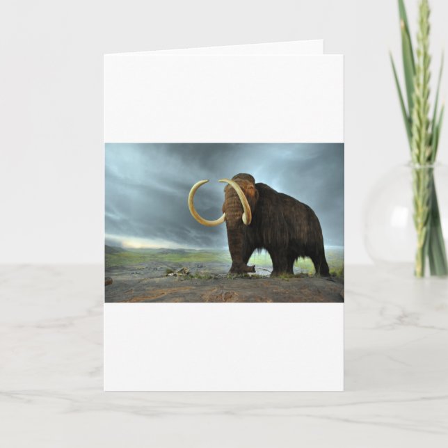 Carte Destin de mammoth laine (Devant)