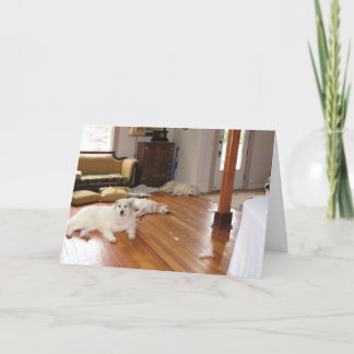 Carte Destruction en gros