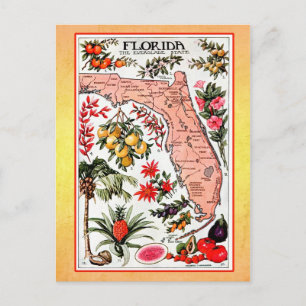 Carte d'Etat de Floride (réimpression vintage)