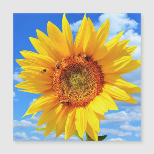 Carte d'été magnétique avec Tournesol Jaune