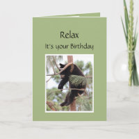 Détendez-vous c'est votre Ours d'Anniversaire Enco