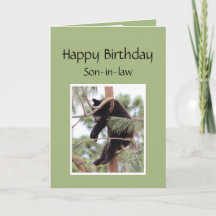 Détendez-vous, c'est votre ours d'anniversaire pou