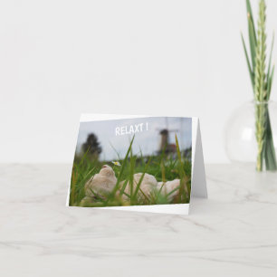 Carte Détendez-vous dans la nature avec le moulin hollan