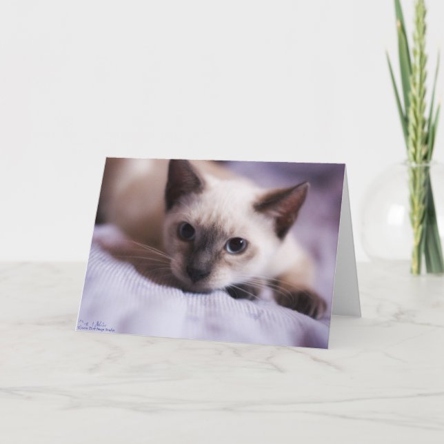 Carte détourné mignonne (Devant)