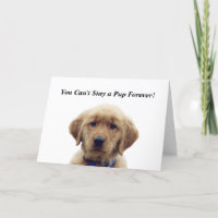 Carte d'études pour marionnettes Golden Retriever