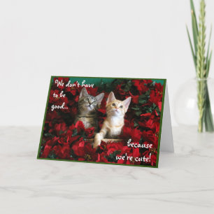 Carte Deux chatons mignons et des pointes rouges