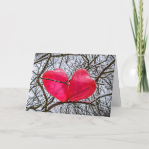 Carte Deux coeurs embrassant dans un arbre