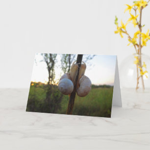 Carte Deux escargots sur une tige