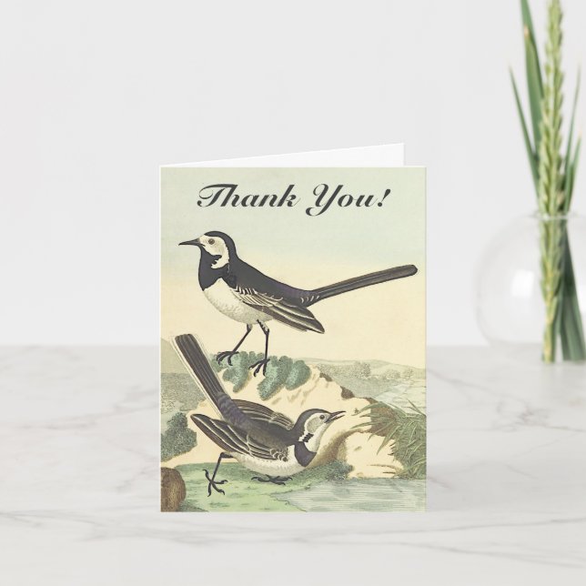 Carte Deux Oiseaux, Vintage, "Merci !" (Devant)