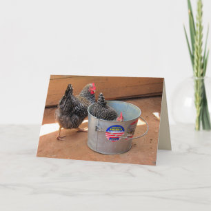 Carte Deux poulets sombres mignons