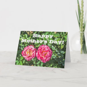 Carte Deux roses rose foncé avec Feuilles vert foncé