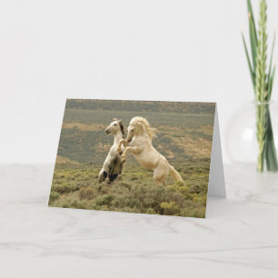 Carte Deux Stallions sauvages combattent