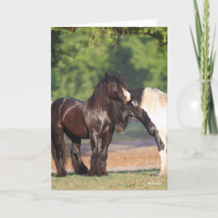 Carte Deux Vannières tziganes noires et blanches