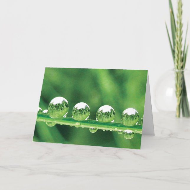 Carte Dew Drops sur Green Grass Poetry of Nature (Devant)