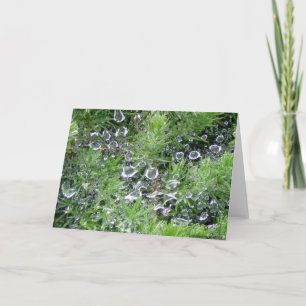 Carte Dew du matin