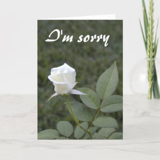 Carte d'excuses à la rose blanche