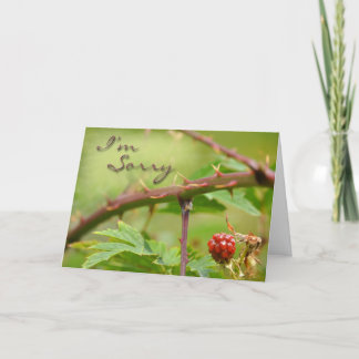 Carte d'excuses Désolé d'être fâché