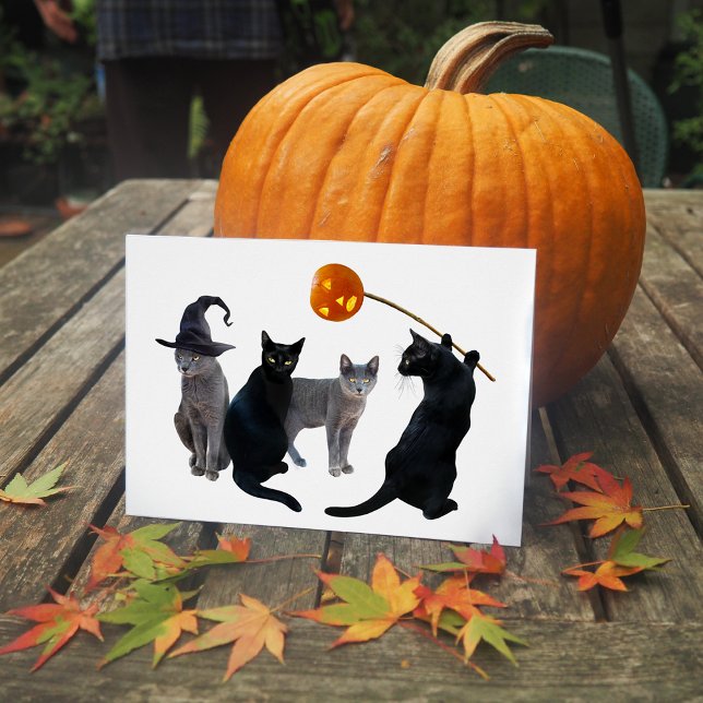Carte d'Halloween Cat Coven (Créateur téléchargé)