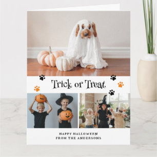 Carte d'Halloween citrouille Ghost Pet Photo