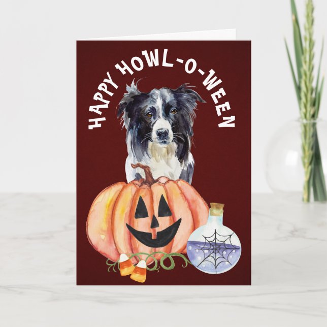Carte d'Halloween de Border Collie (Devant)