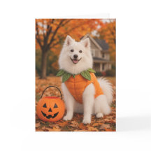 Carte d'Halloween de chien esquimau américain