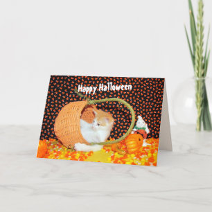 Carte d'Halloween pour chats amusants d'Annie