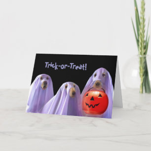 Carte d'Halloween pour chien fantôme de Trick or T
