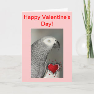 Carte d'Heureuse Sainte-Valentin de perroquet gris