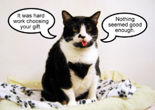 Cartes De Vœux Humour Chat Noir Zazzle Fr Cartes De Vœux Humour Chat Noir Zazzle Fr