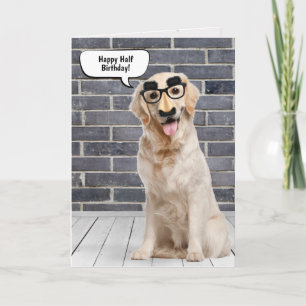 Carte d'Humour demi-anniversaire Golden Retriever