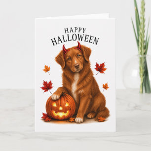 Carte Diable de chien Tolling de Nouvelle-Écosse