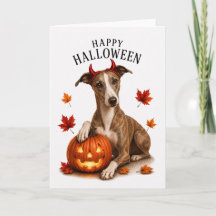 Diable de Halloween Whippet