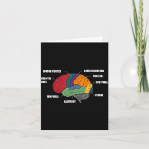 Carte Diagramme coloré de l'anatomie du cerveau