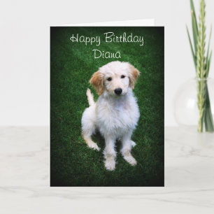 Carte Diana Happy Birthday Golden Doodle Puppy