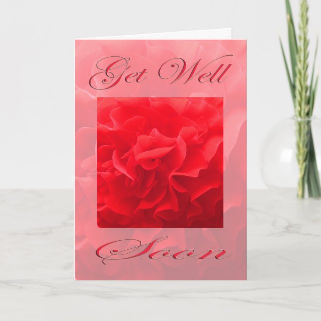 Carte Dianthus Fleur Rouge Guéris Bientôt (Devant)