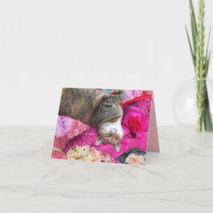 Carte Dilemme de la princesse Tatus Cat