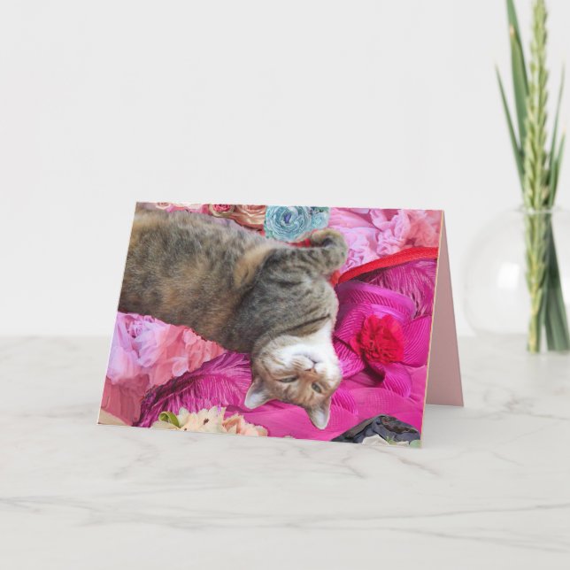 Carte Dilemme de la princesse Tatus Cat (Devant)