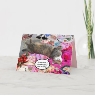 Carte Dilemme de Princess Tatus Cat