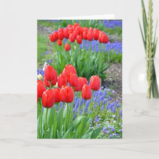 Carte d'impression florale des tulipes à ressort r (Devant)