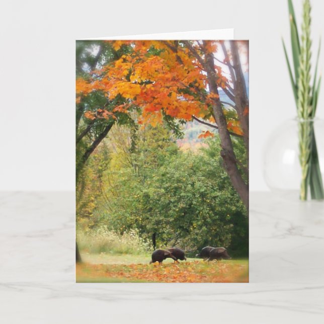 Carte Dindes sauvages au Vermont (Devant)