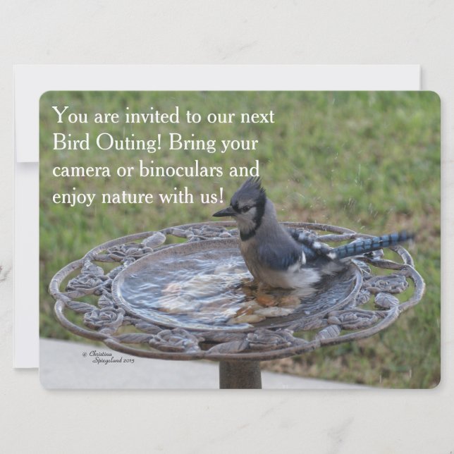 Carte d'invitation à la découverte d'oiseaux (Devant)