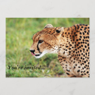Carte d'invitation Cheetah